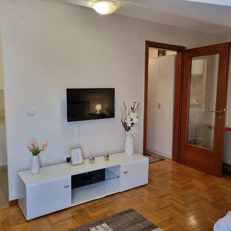 Studio Apartman Ema - Centar, Kruzni Tok Guest house