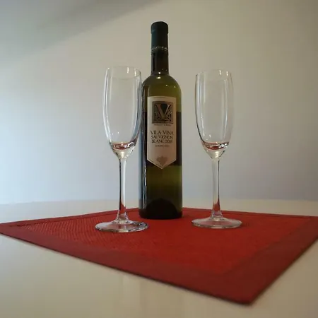 Studio Apartman Ema - Centar, Kruzni Tok * Vrnjacka Banja